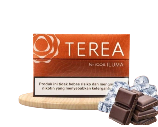 TEREA Bronze Cocoa Warm Tobacco Sticks for IQOS ILUMA