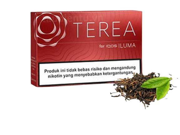 TEREA Sienna Rich Roasted Tobacco Sticks for IQOS ILUMA