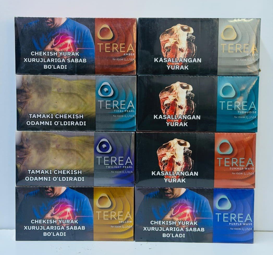 TEREA Uzbekistan All Flavors Assortment
